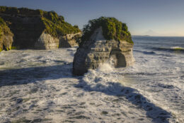 New Zealand 2025 (2 group) (56/84)